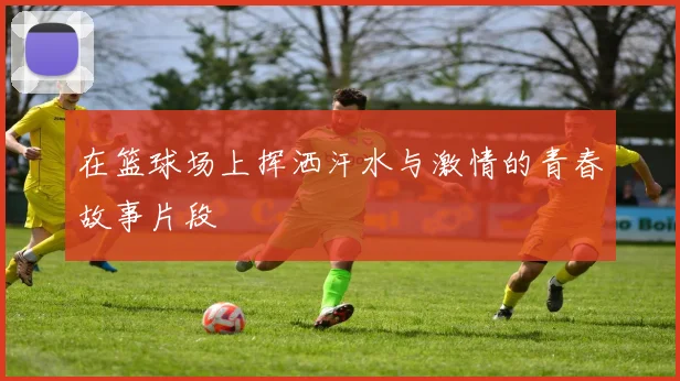 在篮球场上挥洒汗水与激情的青春故事片段